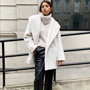 Aritzia Babaton Teddy Coat